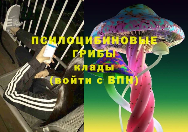 МДПВ Алзамай